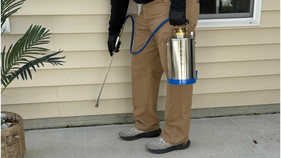 Denton, MD General Pest Control | Virtues Professional Pest Control LLC