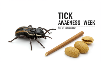 Tick Awareness Week: Protecting Your Home & Family from Ticks