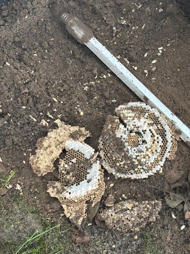 Photo from customer review